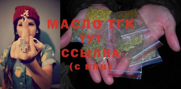 мдпв Бородино