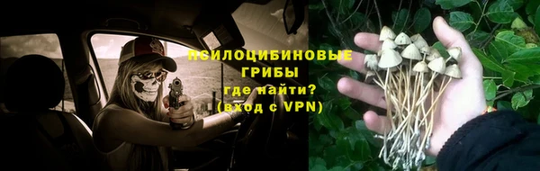 круглые Бронницы
