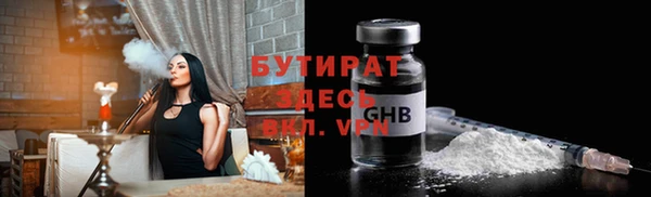 мдпв Бородино