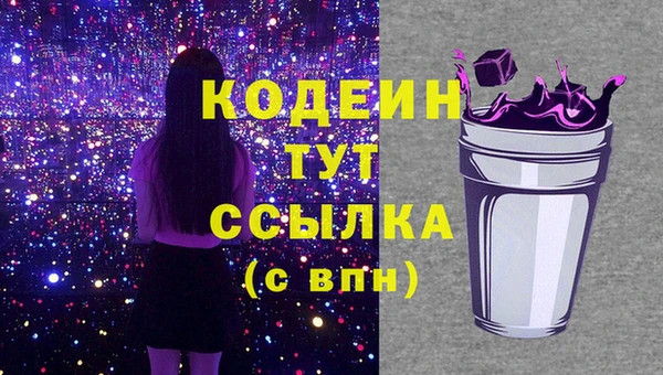 мдпв Бородино