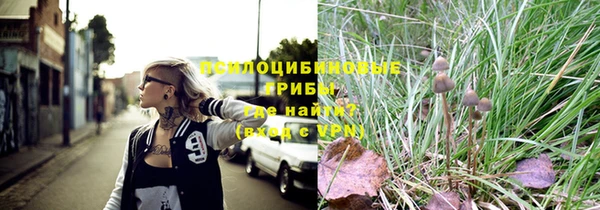 круглые Бронницы
