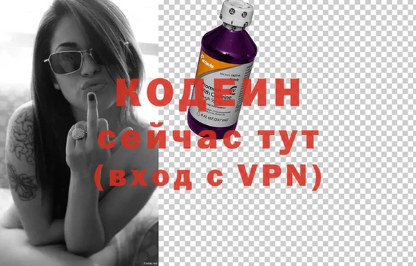 мдпв Бородино