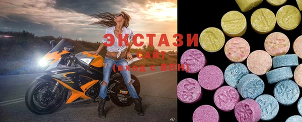 мдпв Бородино