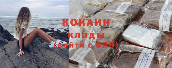 мдпв Бородино