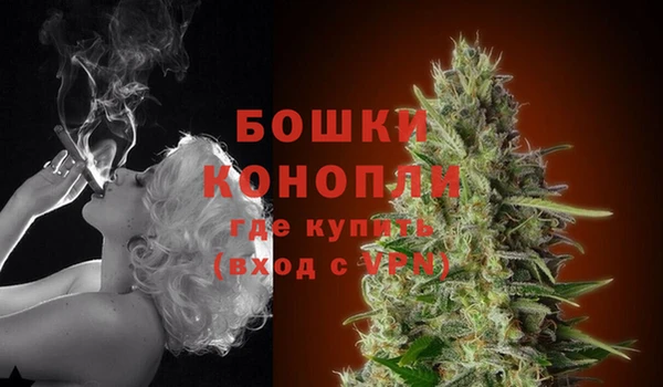 мдпв Бородино