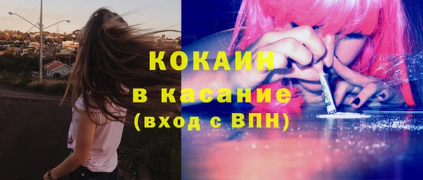 мдпв Бородино